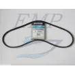 Cinghia alternatore Mercruiser 78200Q1