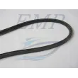 Cinghia alternatore Volvo Penta 3852464