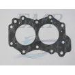 Guarnizione testata Johnson / Evinrude 0329103
