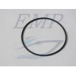 O-ring corpo pompa motore Selva 2t 8489 / 3570420
