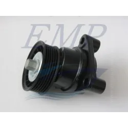 Tendicinghia Volvo Penta 3885250