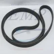 Cinghia alternatore Mercruiser 8M0067268 / 8M0093495