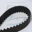 Cinghia distribuzione Mercruiser 8M0066599