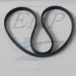 Cinghia pompa acqua Mercruiser 8M0066863
