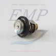 Termostato Johnson / Evinrude 5031758