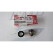 Termostato Yamaha / Selva 6AH-12411-00