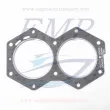 Guarnizione testata Johnson, Evinrude, BRP EMP 0318358