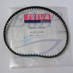 Cinghia distribuzione Selva 8042020