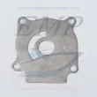 Piastrina in acciaio corpo pompa Johnson / Evinrude 5031418