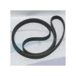 Cinghia alternatore Yanmar 120640-00020