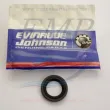 Paraolio Johnson / Evinrude 0329923