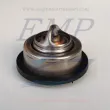 Termostato Volvo Penta 875779, 876691, 877355