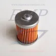 Filtro benzina OMC 0312456