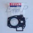 Guarnizione testata Piranha hp 9.9 4T Selva 3510160