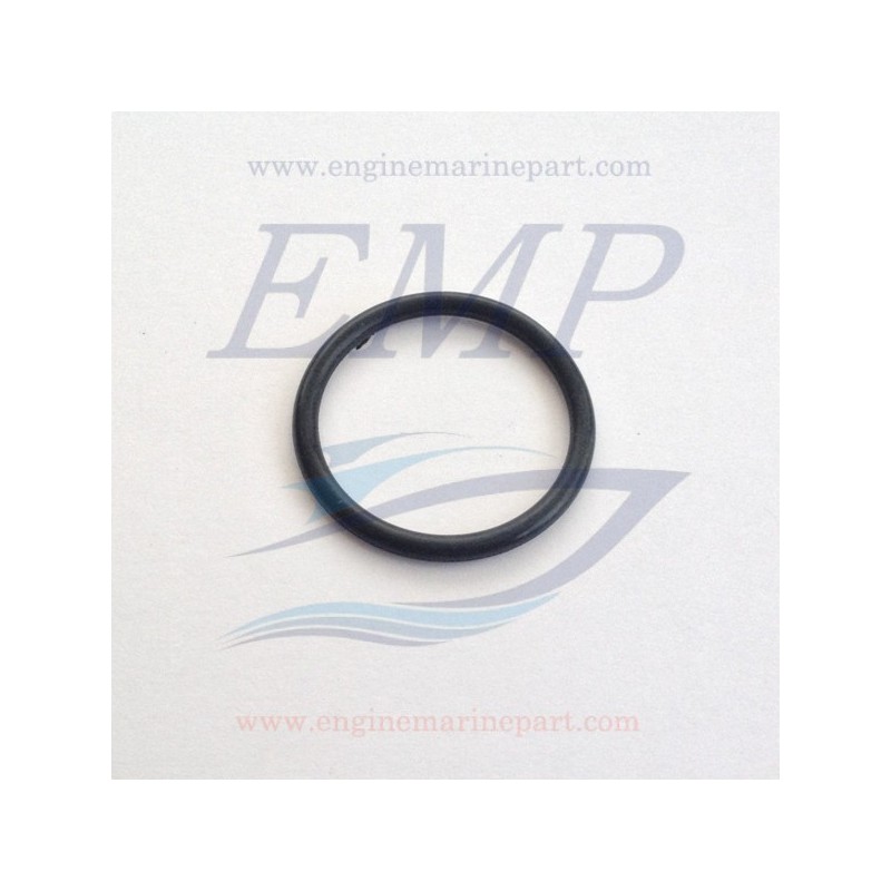 O-ring Termostato OMC EMP 0307239