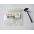 Valvola aspirazione Yamaha, Selva 69W-12111-00