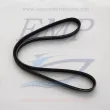 Cinghia pompa acqua Yanmar EMP 120650-42360