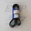 Cinghia alternatore Volvo Penta 21132390
