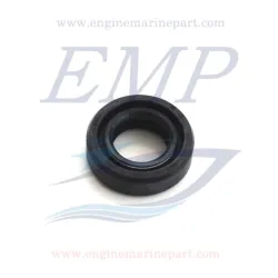 Paraolio Mercury / Mariner 161622