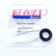 Paraolio 25x42x7 Selva 3560150