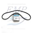 Cinghia alternatore Mercruiser 48122Q