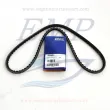 Cinghia alternatore Volvo Penta 966694
