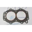 Guarnizione testata Johnson / Evinrude EMP 0329419