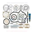 Kit guarnizioni motore Volvo Penta EMP 876054