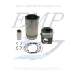 Canne cilindro e pistoni Volvo Penta EMP 876099