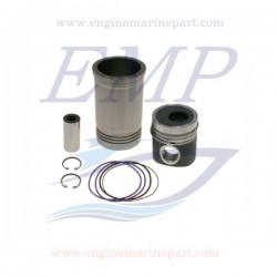 Canne cilindro e pistoni Volvo Penta EMP 22185019