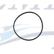 O-ring girante Yanmar EMP 24341-000600