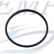 O-ring girante Yanmar EMP 128620-42130