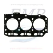 Guarnizione testata Yanmar EMP 129002-01331