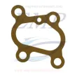 Guarnizione Termostato Yanmar EMP 121575-49160