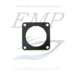 Guarnizione Termostato Yanmar EMP 119593-49291