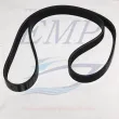 Cinghia alternatore Mercruiser 882531