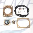 Kit riparazione carburatore Volvo Penta EMP 841293