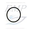 O-ring Yanmar EMP 24341-000302