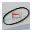 Cinghia alternatore Honda 31638-ZW5-004