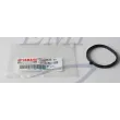 Guarnizione interna collettore Yamaha, Selva 6P2-13645-00