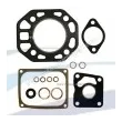 Kit smeriglio motore Yanmar SB8