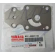 Piastra inox pompa acqua Yamaha, Selva 63V-44323-00