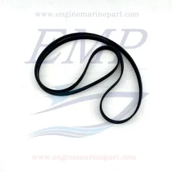 Cinghia servizi Mercruiser 879194425