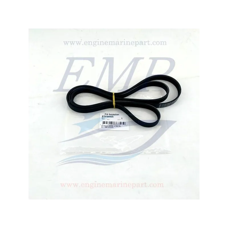 Cinghia servizi Mercruiser 879194425
