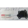 Guarnizione coperchio testata Yamaha 6E0-11193-A1
