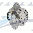 Alternatore Yanmar 12V 55Amp 119626-77210