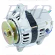 Alternatore Yanmar 12V 40 Amp 119836-77201