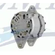 Alternatore Yanmar 12V 55 Amp 129772-77200