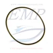 O-ring corpo pompa OMC 0910238