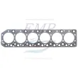 Guarnizione testata Volvo Penta EMP 20495935